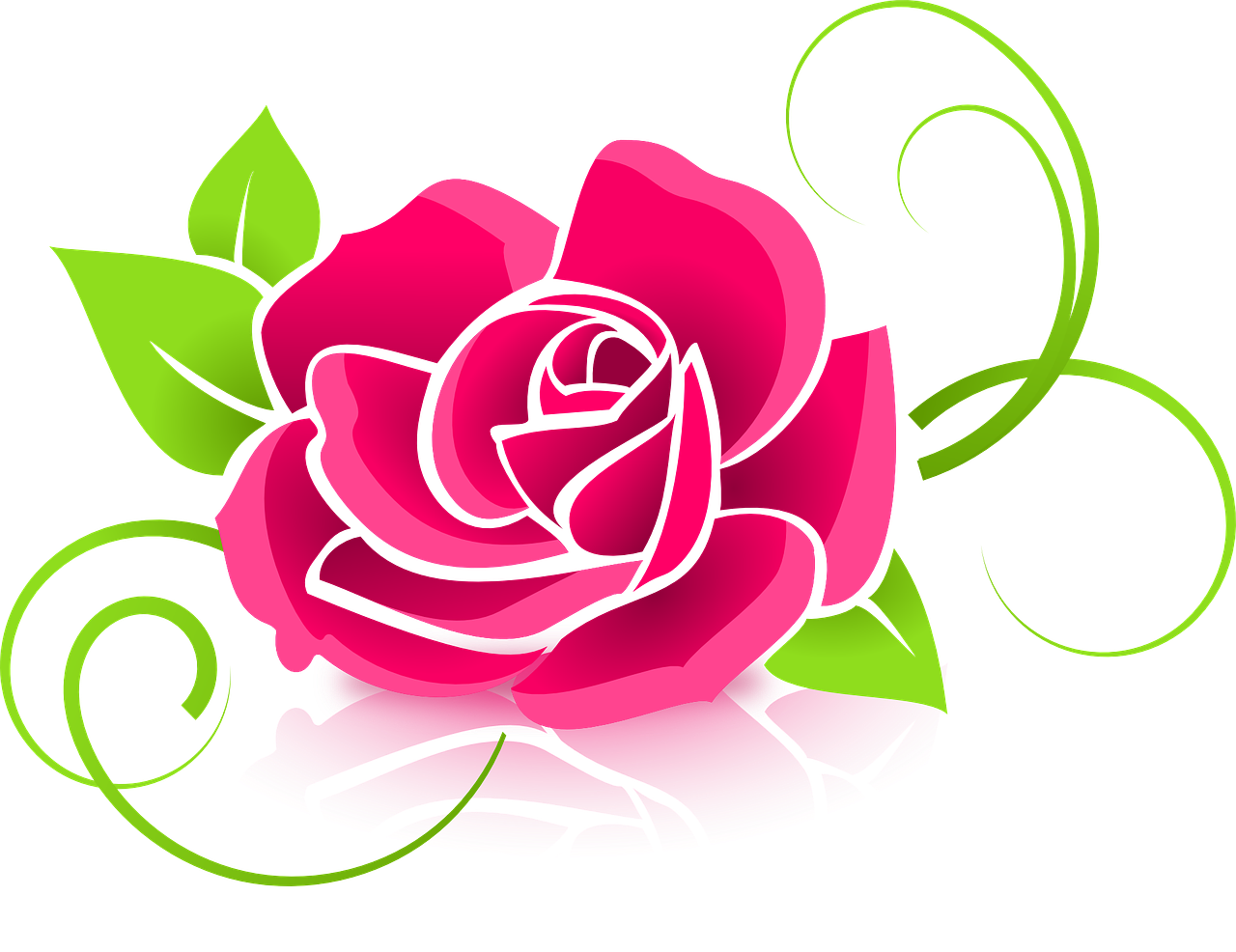 rose, flower, petals-398576.jpg