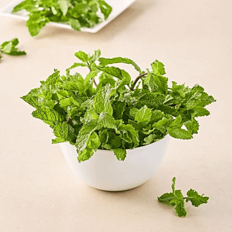 Mint Leaves புதினா 1 set